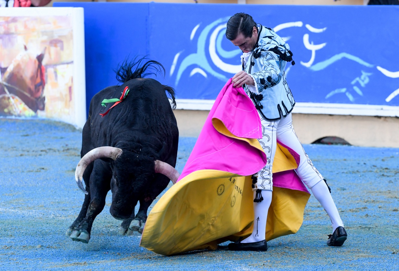 Tauromachie